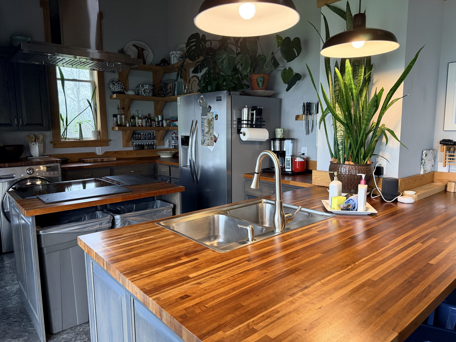 EcoBarn kitchen with butcher block counters, induction cooktop, open shelving and house plants